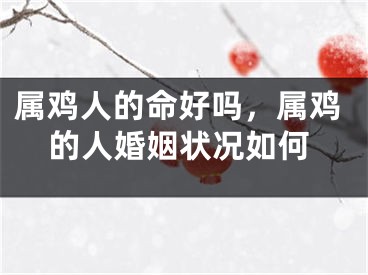 属鸡人的命好吗,属鸡的人婚姻状况如何