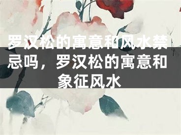 罗汉松的寓意和风水禁忌吗，罗汉松的寓意和象征风水