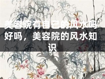 美容院有自己的风水吗好吗,美容院的风水知识