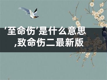 ‘至命伤’是什么意思,致命伤二最新版