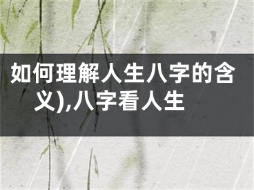 如何理解人生八字的含义),八字看人生