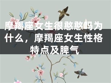 摩羯座女生很憨憨吗为什么，摩羯座女生性格特点及脾气