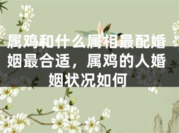 属鸡和什么属相最配婚姻最合适,属鸡的人婚姻状况如何