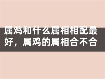 属鸡和什么属相相配最好,属鸡的属相合不合