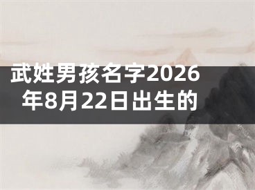 武姓男孩名字2026年8月22日出生的