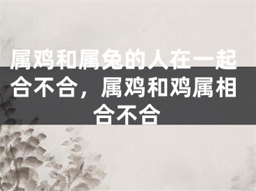 属鸡和属兔的人在一起合不合,属鸡和鸡属相合不合