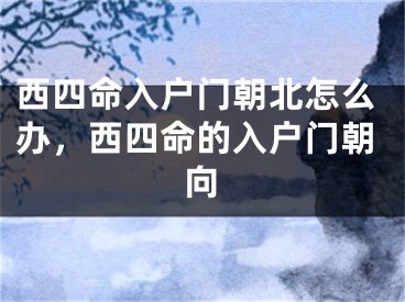 西四命入户门朝北怎么办,西四命的入户门朝向