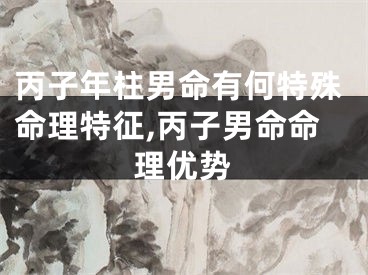 丙子年柱男命有何特殊命理特征,丙子男命命理优势