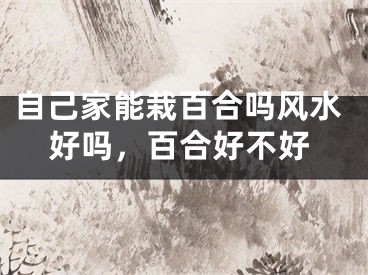 自己家能栽百合吗风水好吗，百合好不好
