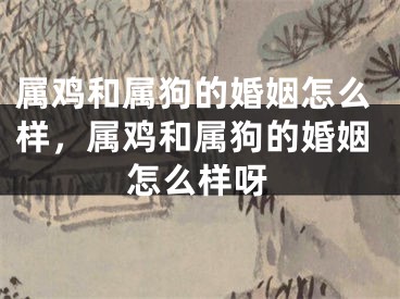 属鸡和属狗的婚姻怎么样,属鸡和属狗的婚姻怎么样呀