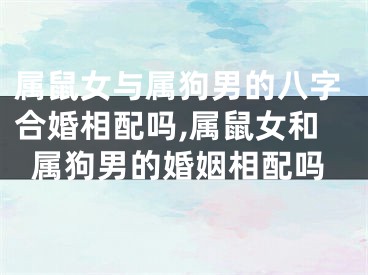 属鼠女与属狗男的八字合婚相配吗,属鼠女和属狗男的婚姻相配吗