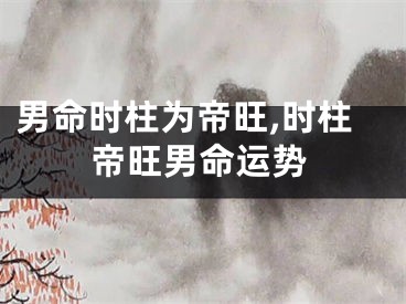 男命时柱为帝旺,时柱帝旺男命运势