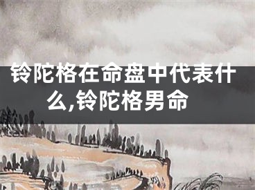 铃陀格在命盘中代表什么,铃陀格男命