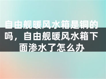 自由舰暖风水箱是铜的吗，自由舰暖风水箱下面渗水了怎么办