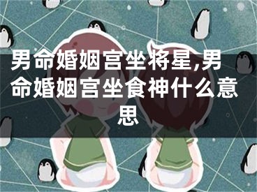 男命婚姻宫坐将星,男命婚姻宫坐食神什么意思