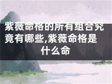 紫薇命格的所有组合究竟有哪些,紫薇命格是什么命