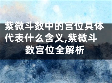 紫微斗数中的宫位具体代表什么含义,紫微斗数宫位全解析
