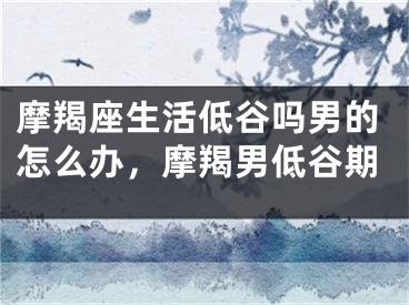 摩羯座生活低谷吗男的怎么办,摩羯男低谷期