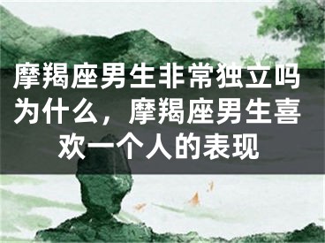 摩羯座男生非常独立吗为什么，摩羯座男生喜欢一个人的表现