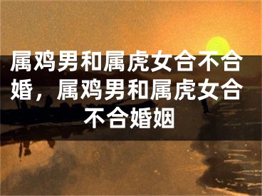 属鸡男和属虎女合不合婚，属鸡男和属虎女合不合婚姻