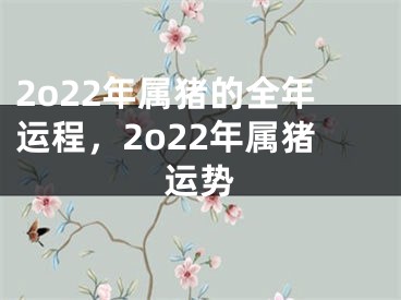 2o22年属猪的全年运程，2o22年属猪运势