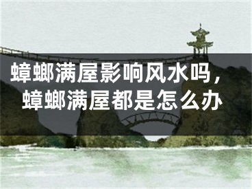 蟑螂满屋影响风水吗,蟑螂满屋都是怎么办