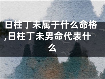 日柱丁未属于什么命格,日柱丁未男命代表什么