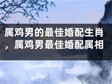属鸡男的最佳婚配生肖，属鸡男最佳婚配属相