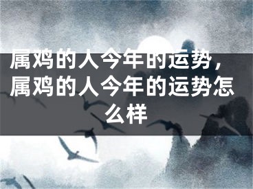 属鸡的人今年的运势,属鸡的人今年的运势怎么样