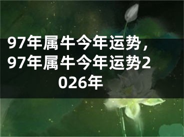 97年属牛今年运势，97年属牛今年运势2026年