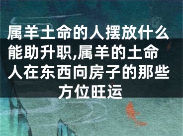 属羊土命的人摆放什么能助升职,属羊的土命人在东西向房子的那些方位旺运