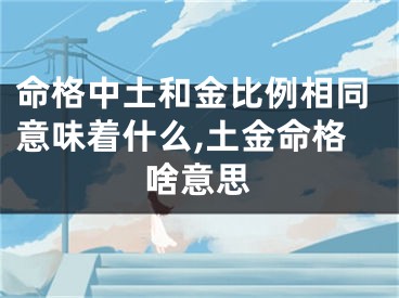 命格中土和金比例相同意味着什么,土金命格啥意思