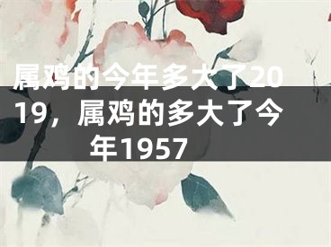 属鸡的今年多大了2019，属鸡的多大了今年1957