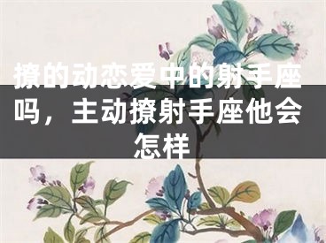 撩的动恋爱中的射手座吗，主动撩射手座他会怎样