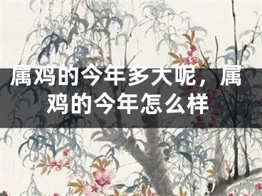 属鸡的今年多大呢,属鸡的今年怎么样