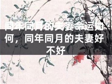 同年同月的夫妻命运如何，同年同月的夫妻好不好