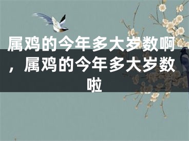 属鸡的今年多大岁数啊，属鸡的今年多大岁数啦