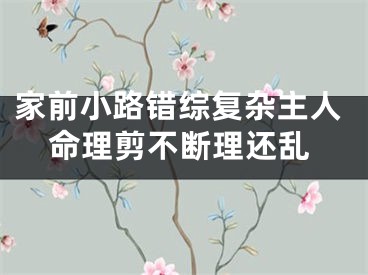家前小路错综复杂主人命理剪不断理还乱
