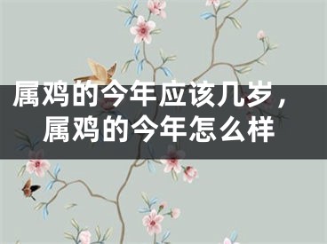 属鸡的今年应该几岁,属鸡的今年怎么样