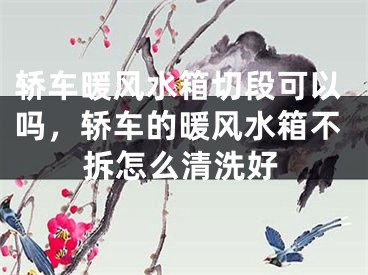 轿车暖风水箱切段可以吗，轿车的暖风水箱不拆怎么清洗好