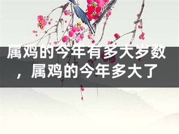 属鸡的今年有多大岁数，属鸡的今年多大了