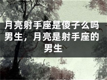 月亮射手座是傻子么吗男生，月亮是射手座的男生