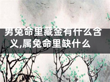 男兔命里藏金有什么含义,属兔命里缺什么