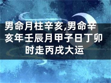 男命月柱辛亥,男命辛亥年壬辰月甲子日丁卯时走丙戌大运