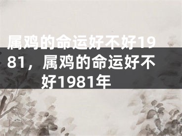 属鸡的命运好不好1981，属鸡的命运好不好1981年