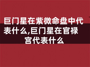 巨门星在紫微命盘中代表什么,巨门星在官禄宫代表什么
