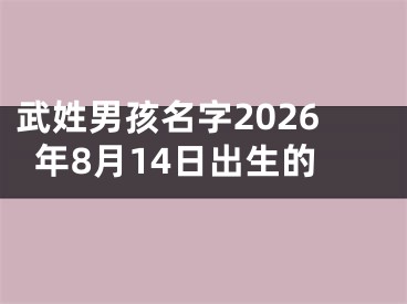 武姓男孩名字2026年8月14日出生的