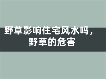野草影响住宅风水吗,野草的危害