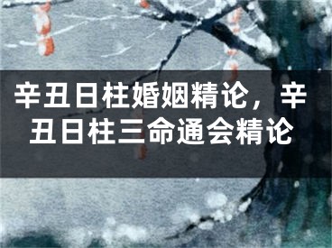 辛丑日柱婚姻精论,辛丑日柱三命通会精论