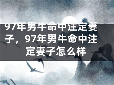 97年男牛命中注定妻子，97年男牛命中注定妻子怎么样